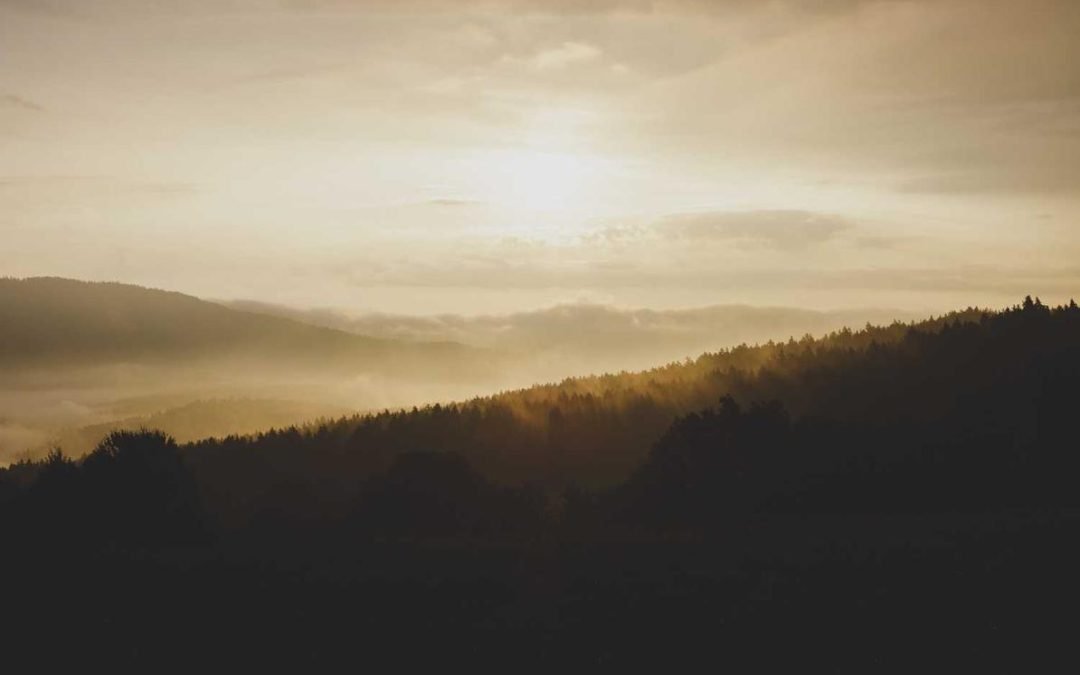 Doloremque sed et pariatur